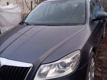 Шкода Октавия 2010 в Виннице на Automoto.ua Шкода Октавия, объемом двигателя 1.9 л и пробегом 270 тыс. км за 8500 $, фото 1 на Automoto.ua