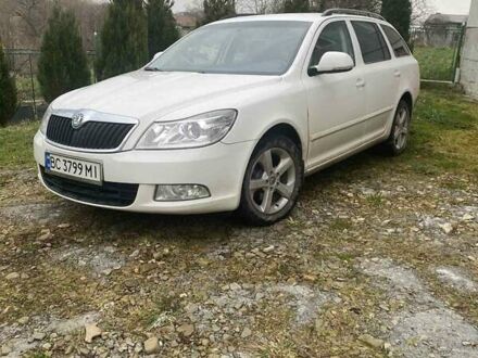 Шкода Октавия 2011 в Дрогобыче на Automoto.ua Шкода Октавия, объемом двигателя 1.6 л и пробегом 270 тыс. км за 8200 $, фото 1 на Automoto.ua