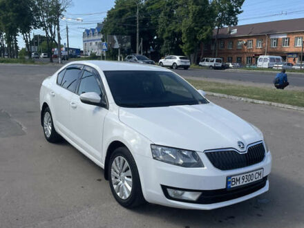 Шкода Октавія 2013 у Сумах на Automoto.ua Шкода Октавія, об'ємом двигуна 1.4 л та пробігом 175 тис. км за 11000 $, фото 1 на Automoto.ua
