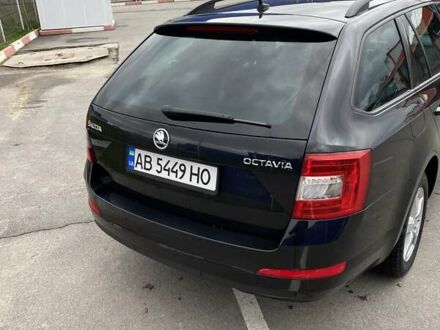 Шкода Октавия 2016 в Виннице на Automoto.ua Шкода Октавия, объемом двигателя 1.6 л и пробегом 244 тыс. км за 12300 $, фото 1 на Automoto.ua