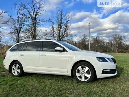 Шкода Октавия 2019 в Кропивницком (Кировограде) на Automoto.ua Шкода Октавия, объемом двигателя 1.97 л и пробегом 181 тыс. км за 15800 $, фото 1 на Automoto.ua