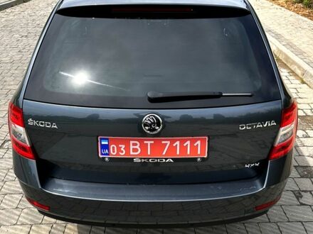 Шкода Октавия, объемом двигателя 2 л и пробегом 235 тыс. км за 17699 $, фото 1 на Automoto.ua