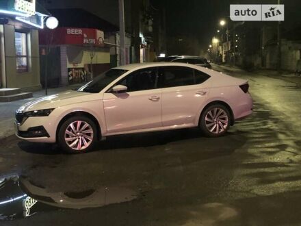 Шкода Октавія, об'ємом двигуна 1.97 л та пробігом 19 тис. км за 29000 $, фото 1 на Automoto.ua