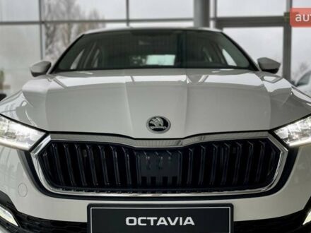 Шкода Октавія 2023 у Дніпро (Дніпропетровську) на Automoto.ua Шкода Октавія, об'ємом двигуна 1.98 л та пробігом 0 тис. км за 30501 $, фото 1 на Automoto.ua