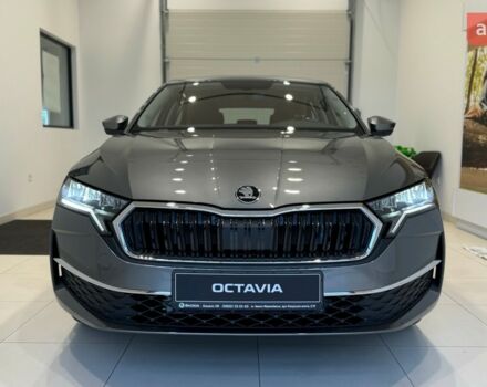 купить новое авто Шкода Октавия 2024 года от официального дилера Альянс-ІФ Skoda Шкода фото
