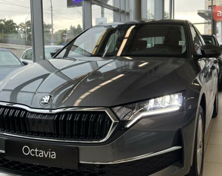 купить новое авто Шкода Октавия 2025 года от официального дилера Автоцентр AUTO.RIA Шкода фото