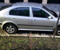 Серый Шкода Октавия, объемом двигателя 1.9 л и пробегом 453 тыс. км за 4000 $, фото 2 на Automoto.ua
