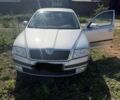 Серый Шкода Октавия, объемом двигателя 1.9 л и пробегом 250 тыс. км за 3400 $, фото 1 на Automoto.ua