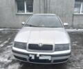 Серый Шкода Октавия, объемом двигателя 1.9 л и пробегом 556 тыс. км за 3600 $, фото 1 на Automoto.ua