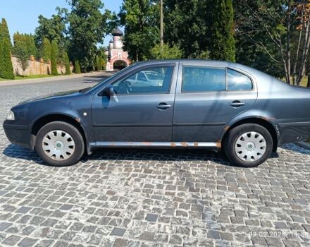 Шкода Октавия 2007 в Киеве на Automoto.ua Серый Шкода Октавия, объемом двигателя 0 л и пробегом 488 тыс. км за 3100 $, фото 3 на Automoto.ua