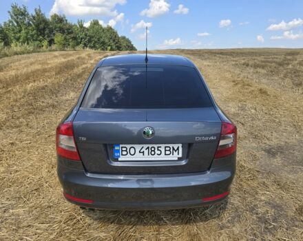 Серый Шкода Октавия, объемом двигателя 1.4 л и пробегом 282 тыс. км за 6500 $, фото 3 на Automoto.ua