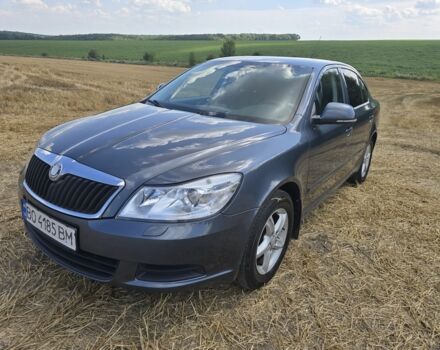 Серый Шкода Октавия, объемом двигателя 1.4 л и пробегом 282 тыс. км за 6500 $, фото 2 на Automoto.ua