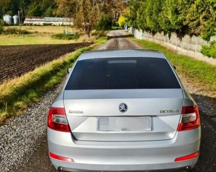 Шкода Октавія 2014 у Славутиче на Automoto.ua Сірий Шкода Октавія, об'ємом двигуна 0 л та пробігом 155 тис. км за 12000 $, фото 6 на Automoto.ua