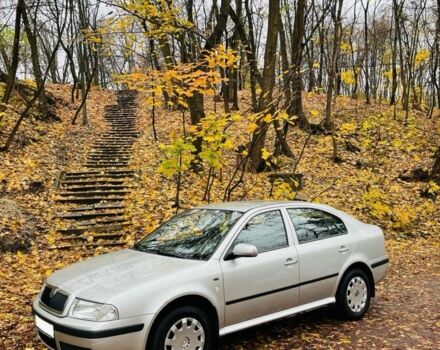 Серый Шкода Октавия, объемом двигателя 1.6 л и пробегом 92 тыс. км за 6000 $, фото 8 на Automoto.ua