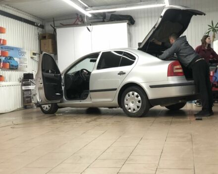 Серый Шкода Октавия, объемом двигателя 1.9 л и пробегом 254 тыс. км за 4706 $, фото 1 на Automoto.ua