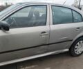 Сірий Шкода Октавія, об'ємом двигуна 1.6 л та пробігом 230 тис. км за 4300 $, фото 6 на Automoto.ua