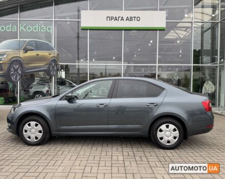 Шкода Октавия 2019 в Киеве на Automoto.ua Серый Шкода Октавия, объемом двигателя 1.6 л и пробегом 164 тыс. км за 14900 $, фото 11 на Automoto.ua