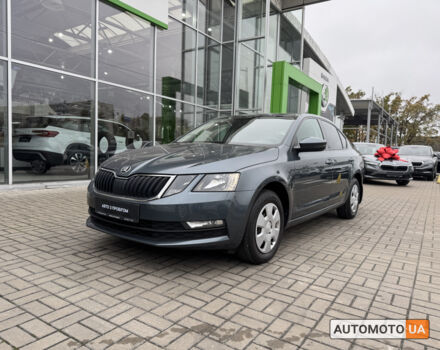 Шкода Октавия 2019 в Киеве на Automoto.ua Серый Шкода Октавия, объемом двигателя 1.6 л и пробегом 164 тыс. км за 14900 $, фото 10 на Automoto.ua