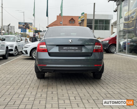 Шкода Октавия 2019 в Киеве на Automoto.ua Серый Шкода Октавия, объемом двигателя 1.6 л и пробегом 164 тыс. км за 14900 $, фото 5 на Automoto.ua