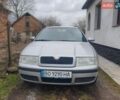 Серый Шкода Октавия, объемом двигателя 1.6 л и пробегом 245 тыс. км за 4999 $, фото 1 на Automoto.ua