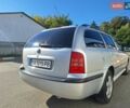 Серый Шкода Октавия, объемом двигателя 1.9 л и пробегом 289 тыс. км за 6700 $, фото 10 на Automoto.ua