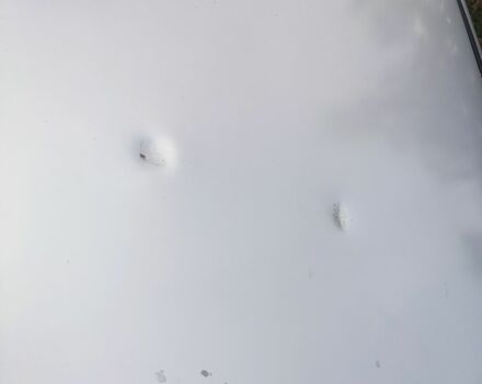 Серый Шкода Октавия, объемом двигателя 1.6 л и пробегом 560 тыс. км за 3800 $, фото 6 на Automoto.ua