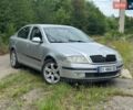 Серый Шкода Октавия, объемом двигателя 1.9 л и пробегом 368 тыс. км за 4500 $, фото 1 на Automoto.ua