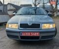 Серый Шкода Октавия, объемом двигателя 1.6 л и пробегом 238 тыс. км за 4750 $, фото 16 на Automoto.ua