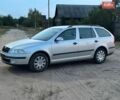 Серый Шкода Октавия, объемом двигателя 1.6 л и пробегом 173 тыс. км за 5100 $, фото 1 на Automoto.ua