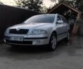 Серый Шкода Октавия, объемом двигателя 1.6 л и пробегом 200 тыс. км за 8500 $, фото 8 на Automoto.ua