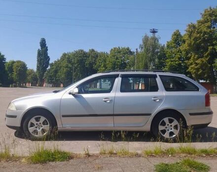 Серый Шкода Октавия, объемом двигателя 1.9 л и пробегом 252 тыс. км за 6300 $, фото 1 на Automoto.ua