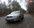 Шкода Октавія 2006 у Вінниці на Automoto.ua Сірий Шкода Октавія, об'ємом двигуна 1.9 л та пробігом 320 тис. км за 7200 $, фото 16 на Automoto.ua