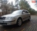 Шкода Октавія 2006 у Вінниці на Automoto.ua Сірий Шкода Октавія, об'ємом двигуна 1.9 л та пробігом 320 тис. км за 7200 $, фото 9 на Automoto.ua