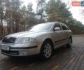 Шкода Октавія 2006 у Вінниці на Automoto.ua Сірий Шкода Октавія, об'ємом двигуна 1.9 л та пробігом 320 тис. км за 7200 $, фото 8 на Automoto.ua