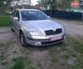 Серый Шкода Октавия, объемом двигателя 1.6 л и пробегом 220 тыс. км за 5900 $, фото 34 на Automoto.ua