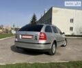 Сірий Шкода Октавія, об'ємом двигуна 1.6 л та пробігом 246 тис. км за 5200 $, фото 2 на Automoto.ua