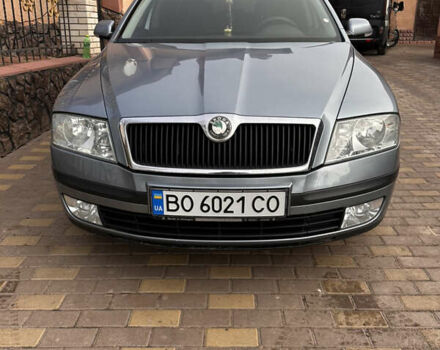Серый Шкода Октавия, объемом двигателя 1.6 л и пробегом 220 тыс. км за 5350 $, фото 23 на Automoto.ua