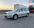 Серый Шкода Октавия, объемом двигателя 2 л и пробегом 234 тыс. км за 7200 $, фото 1 на Automoto.ua