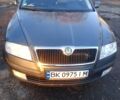 Серый Шкода Октавия, объемом двигателя 1.8 л и пробегом 320 тыс. км за 6000 $, фото 1 на Automoto.ua