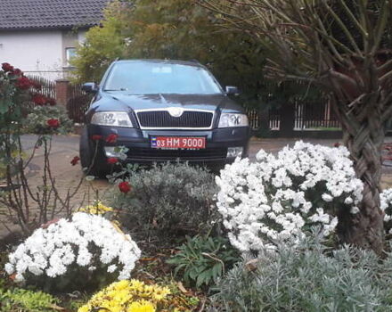 Шкода Октавия 2007 в Луцке на Automoto.ua Серый Шкода Октавия, объемом двигателя 1.6 л и пробегом 201 тыс. км за 5400 $, фото 8 на Automoto.ua