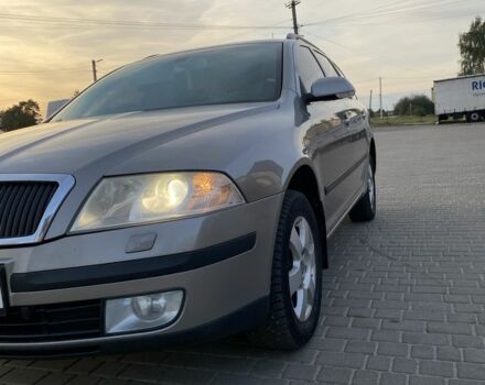 Серый Шкода Октавия, объемом двигателя 1.9 л и пробегом 256 тыс. км за 7401 $, фото 15 на Automoto.ua