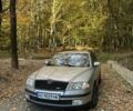 Сірий Шкода Октавія, об'ємом двигуна 1.9 л та пробігом 390 тис. км за 5000 $, фото 1 на Automoto.ua