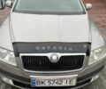 Серый Шкода Октавия, объемом двигателя 1.9 л и пробегом 390 тыс. км за 6400 $, фото 2 на Automoto.ua