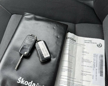 Серый Шкода Октавия, объемом двигателя 1.6 л и пробегом 230 тыс. км за 7500 $, фото 18 на Automoto.ua
