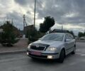 Серый Шкода Октавия, объемом двигателя 1.6 л и пробегом 250 тыс. км за 5900 $, фото 1 на Automoto.ua