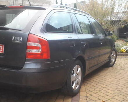 Шкода Октавия 2007 в Луцке на Automoto.ua Серый Шкода Октавия, объемом двигателя 1.6 л и пробегом 201 тыс. км за 5400 $, фото 5 на Automoto.ua