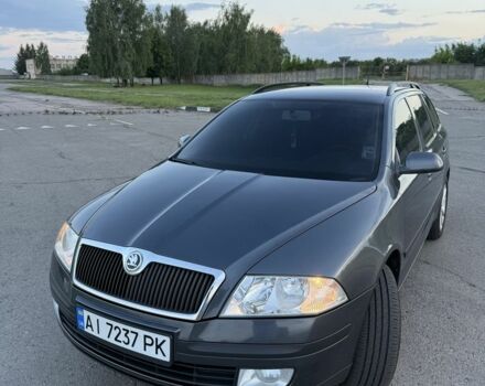 Серый Шкода Октавия, объемом двигателя 1.9 л и пробегом 247 тыс. км за 5000 $, фото 14 на Automoto.ua