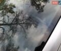 Серый Шкода Октавия, объемом двигателя 1.9 л и пробегом 277 тыс. км за 5700 $, фото 13 на Automoto.ua