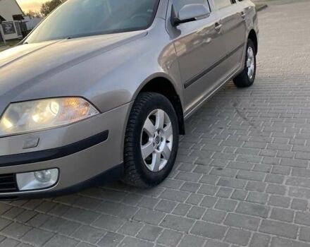 Шкода Октавия 2007 в Ратно на Automoto.ua Серый Шкода Октавия, объемом двигателя 1.9 л и пробегом 256 тыс. км за 7401 $, фото 13 на Automoto.ua