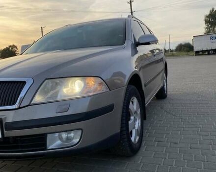 Шкода Октавия 2007 в Ратно на Automoto.ua Серый Шкода Октавия, объемом двигателя 1.9 л и пробегом 256 тыс. км за 7401 $, фото 14 на Automoto.ua